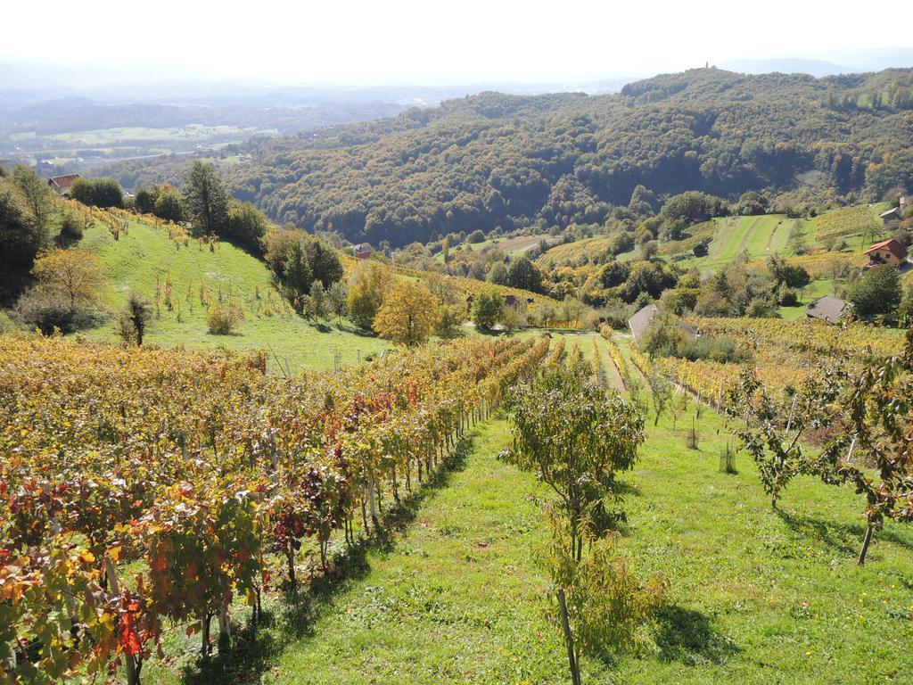 Vineyard Cottage Janko & Metka Otočec Zewnętrze zdjęcie